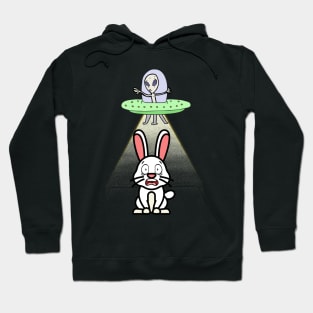 Cute Bunny is abducted by aliens Hoodie